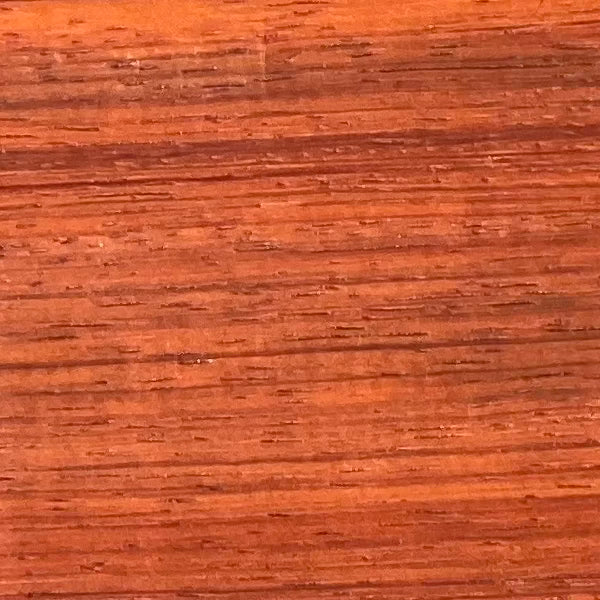 West African Padauk
